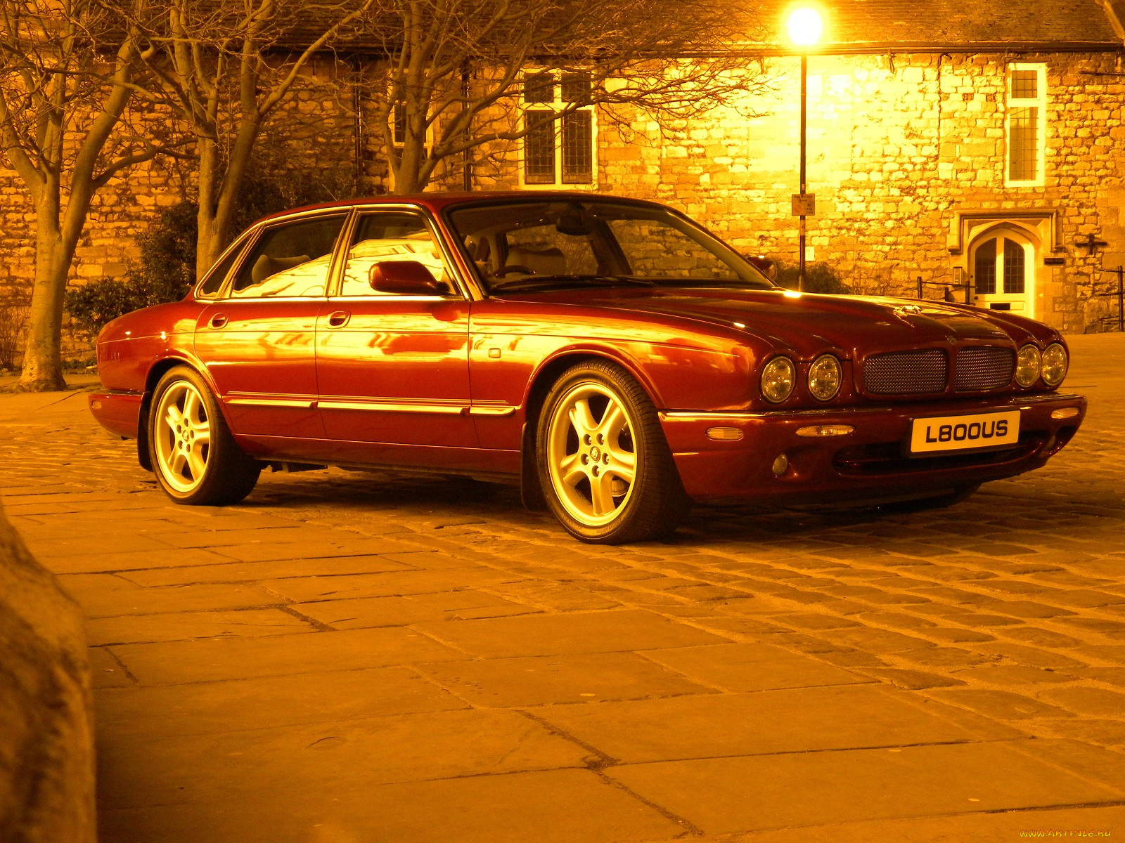 , jaguar